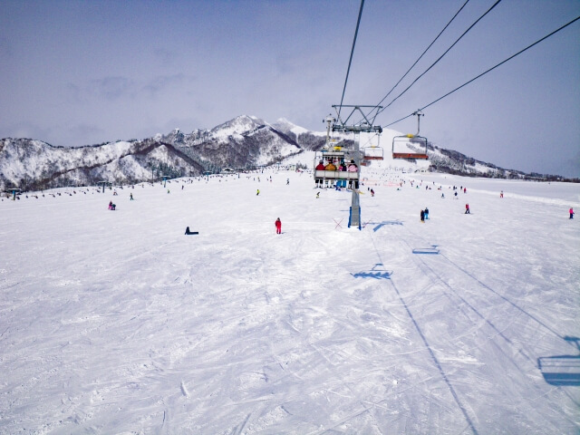 ゲレンデのチェックポイント