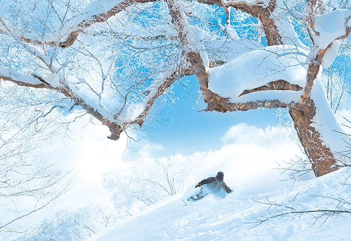 安比高原スキー場