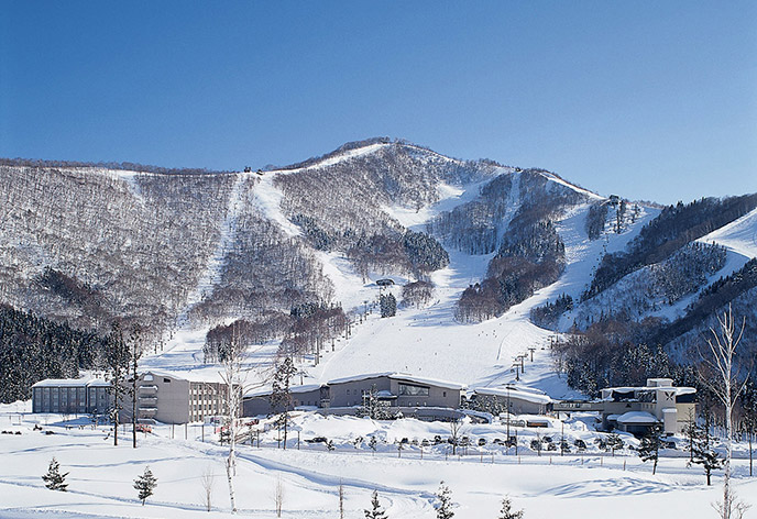 タングラムスキーサーカス