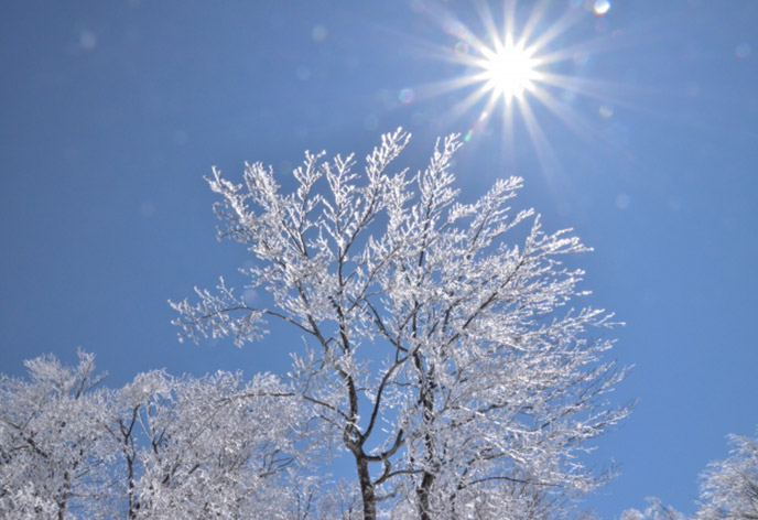 天候と雪質の確認