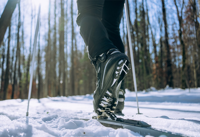 スキーブーツの種類と特徴