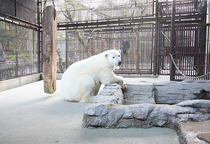 とべ動物園(伊予郡)