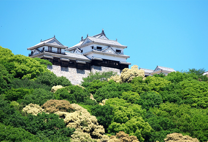 松山城(松山市)