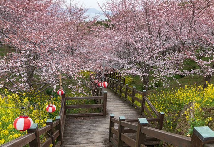 開山公園(愛媛県今治市)