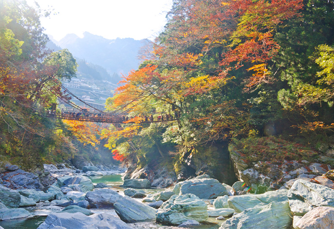 祖谷渓(徳島県三好市)