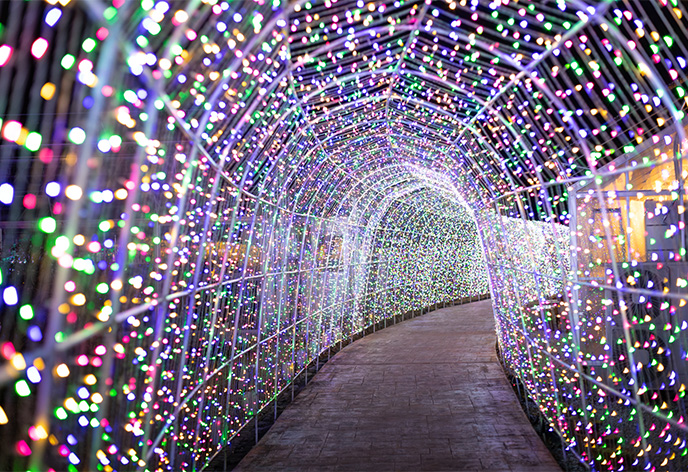 タオル美術館 ウィンターイルミネーション(愛媛県今治市)