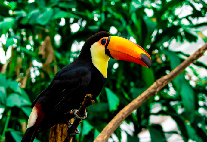 松江フォーゲルパーク