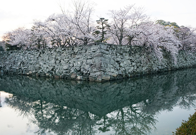 徳島中央公園（徳島城跡）