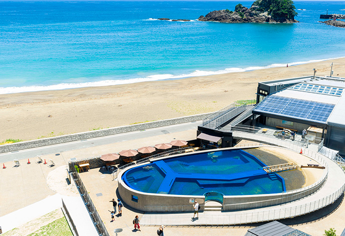 日和佐うみがめ博物館カレッタ