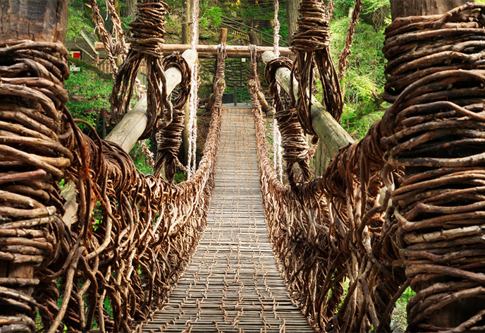 祖谷のかずら橋