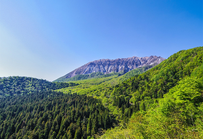 大山（だいせん）
