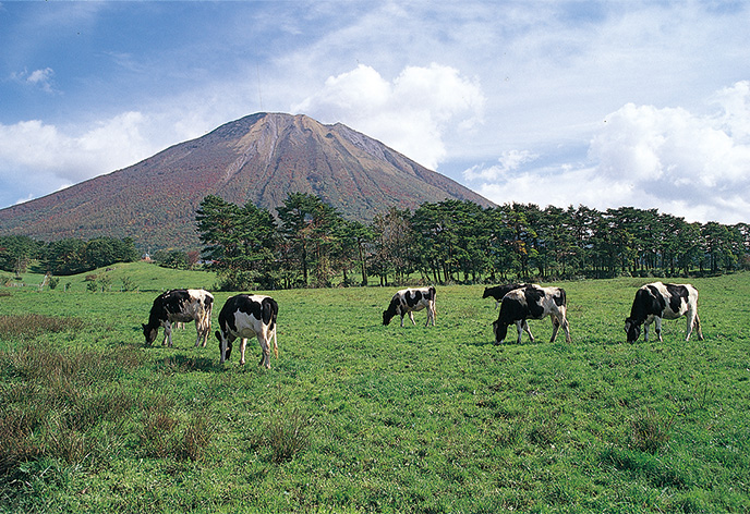 大山まきばみるくの里