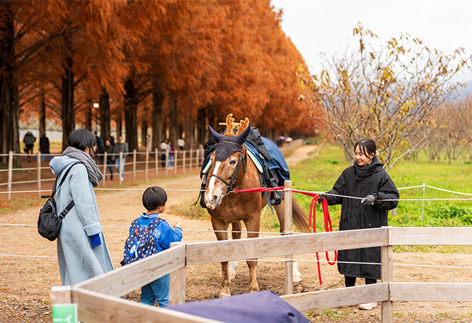 マキノ高原（高島市）