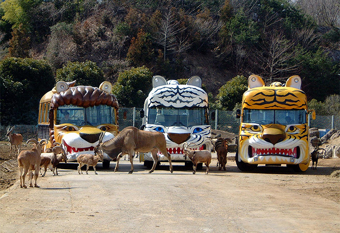群馬サファリパーク