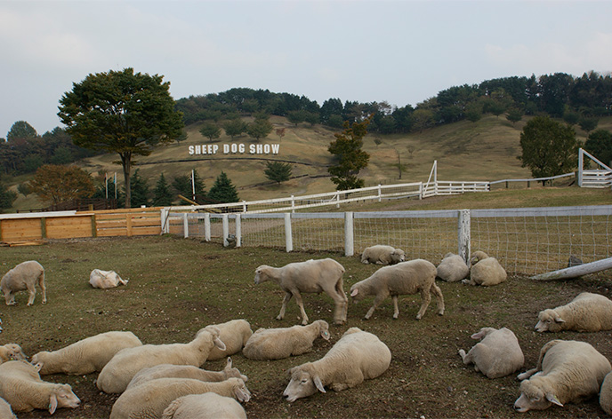 伊香保グリーン牧場