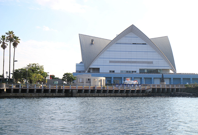 いおワールドかごしま水族館