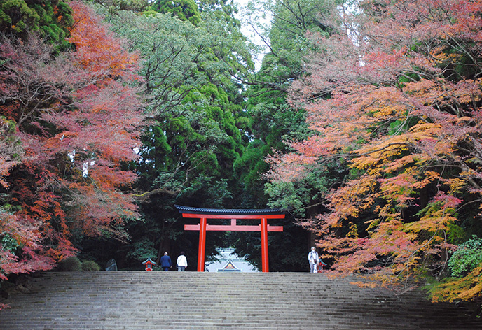 霧島神宮