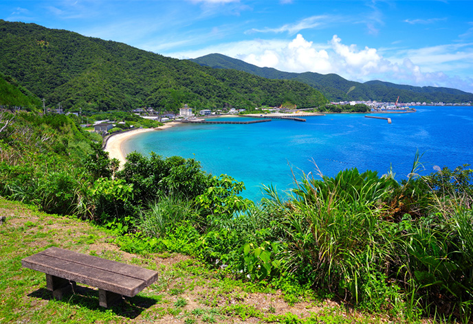 青く透き通る海が魅力「奄美大島」