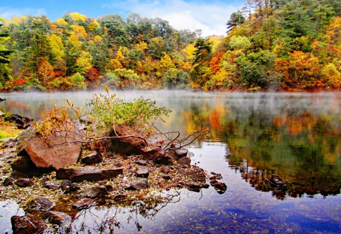 福島の雄大な自然と歴史的魅力