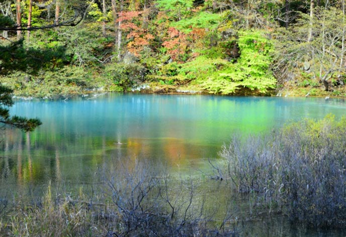 2泊3日の福島満喫コース