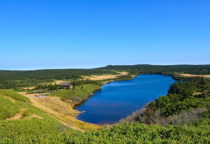 八幡平【県北（八幡平）エリア】