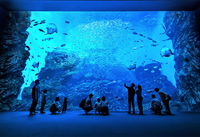 仙台うみの杜水族館