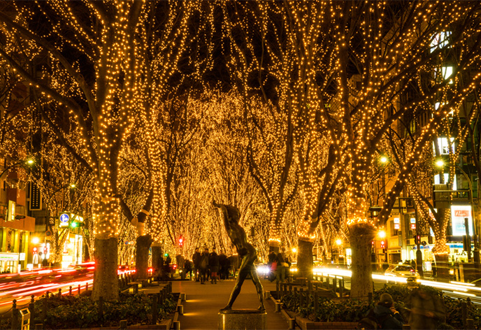 定禅寺通ケヤキ並木