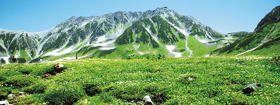 室堂 8月中旬ごろ(イメージ)