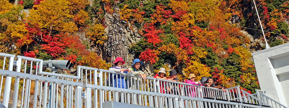 大観峰雲上テラス(イメージ)