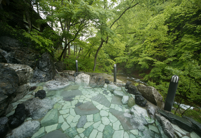 彩り湯かしき花と華