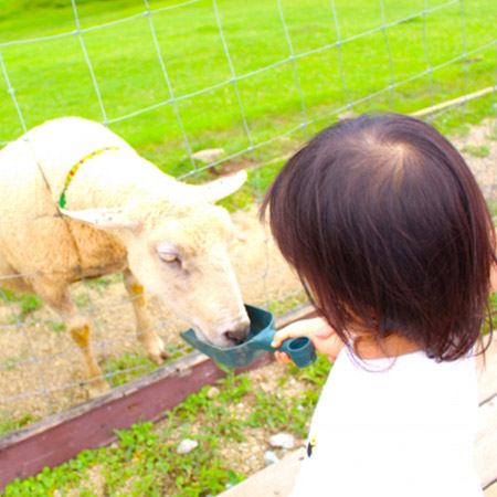 那須の見どころ１自然に囲まれた子供も楽しめるスポット