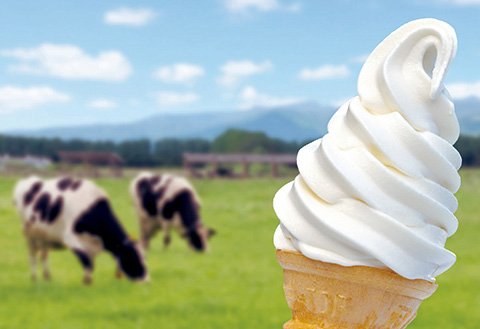  ゆとりろ那須塩原の過ごし方