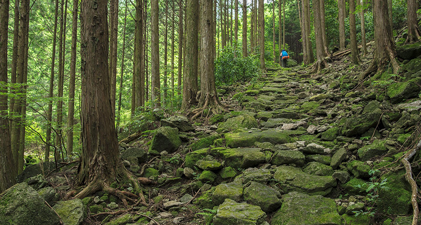 熊野古道