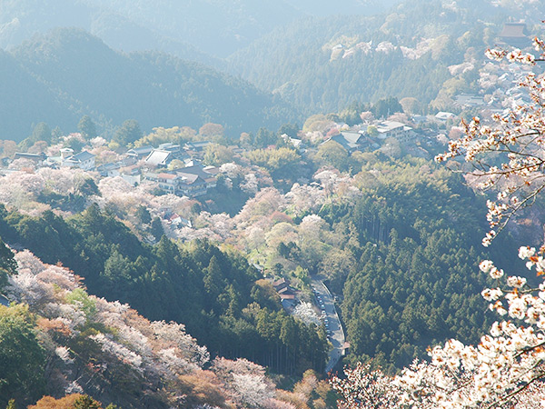 金峯山寺