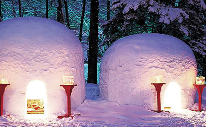 彩り湯かしき 花と華