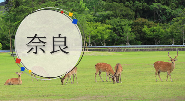 奈良旅行・ツアー