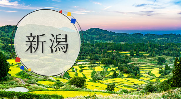 新潟旅行・ツアー