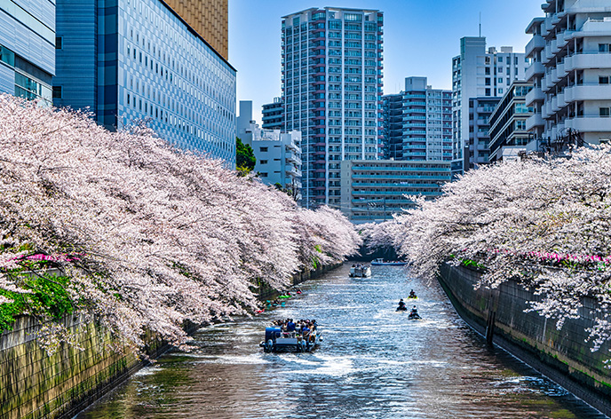 春の旅行特集　東京