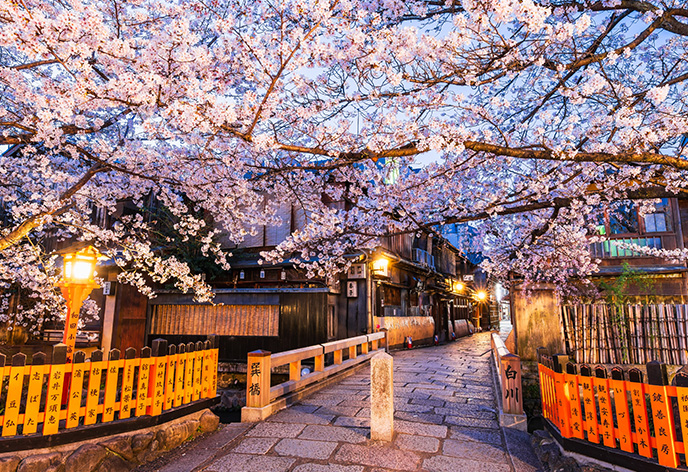 春の旅行特集　京都