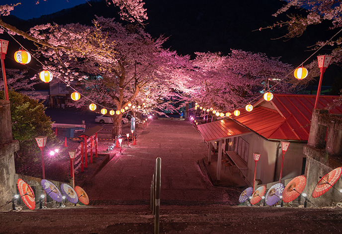 春の旅行特集　鬼怒川温泉