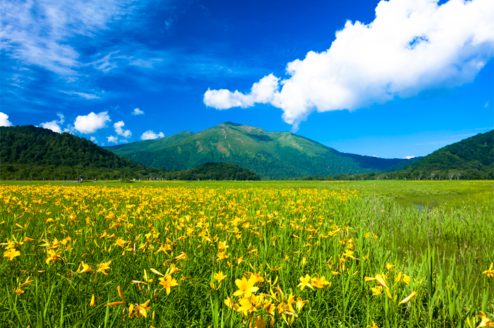【保存版】尾瀬のおすすめ山小屋7選！チェックインから設備まで、快適ステイのための知恵袋