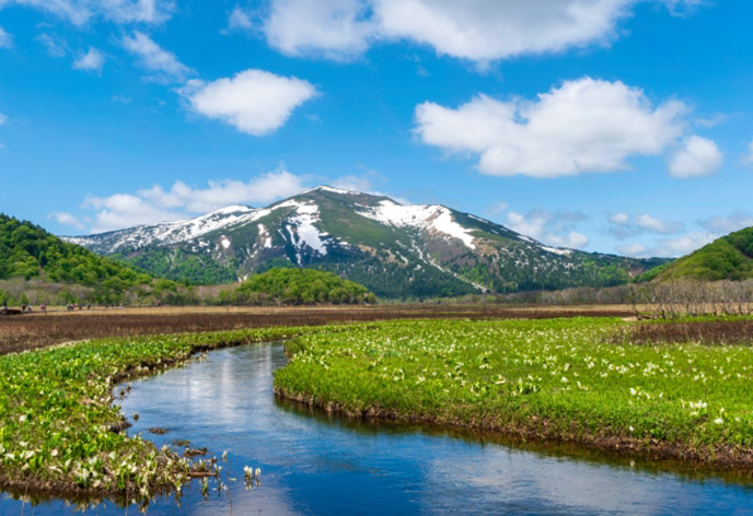 東武トップツアーズでしか体験できない！尾瀬の夜行列車の魅力を解説