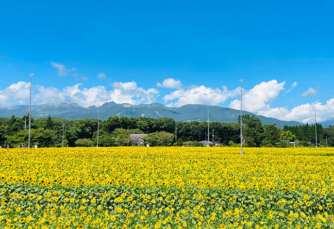 【東武トップツアーズ厳選】那須塩原でおすすめのホテル・宿4選！