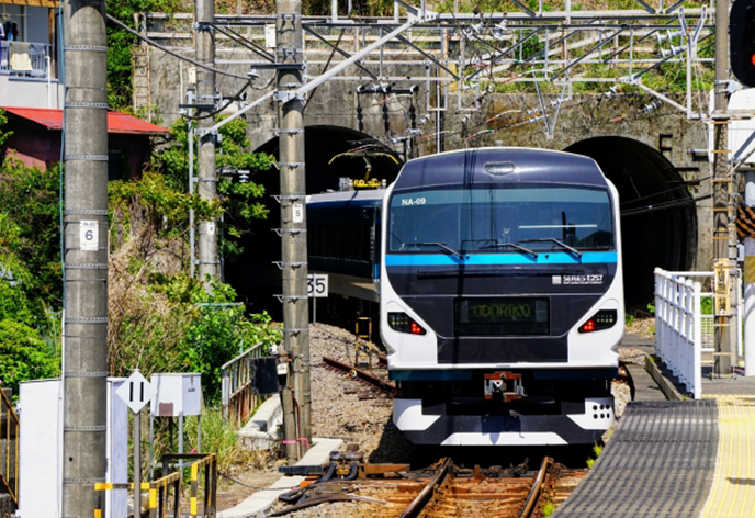 伊豆旅行に行くならおさえておこう！おすすめの観光地を厳選してご紹介