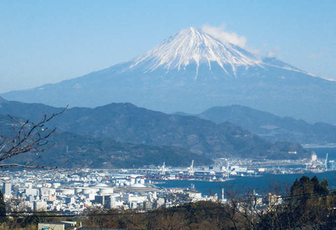 静岡の人気観光スポット28選！外せない名所をご紹介