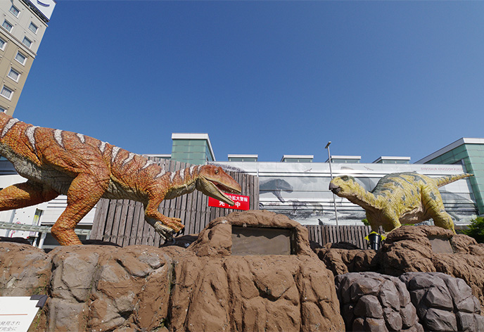 福井のおすすめの観光スポット27選！定番・穴場スポットを紹介