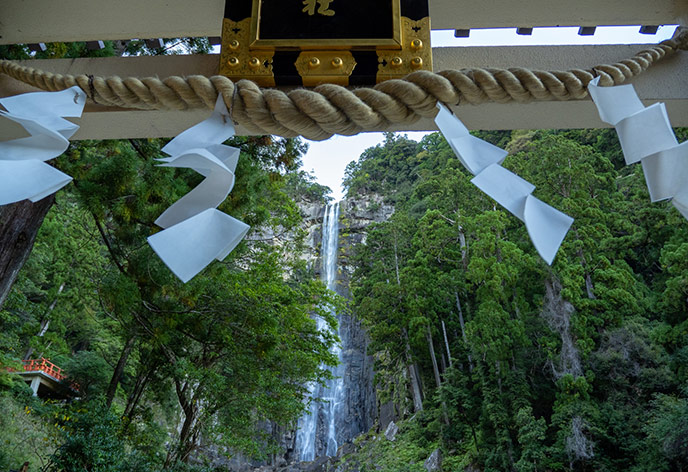 【2026年最新】和歌山の観光スポット32選！グルメやモデルコースも紹介