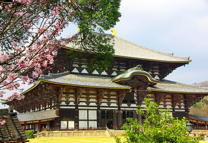 奈良のお土産13選！おすすめのお菓子やグルメ・スイーツをご紹介