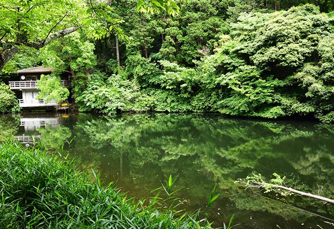 散在ガ池森林公園