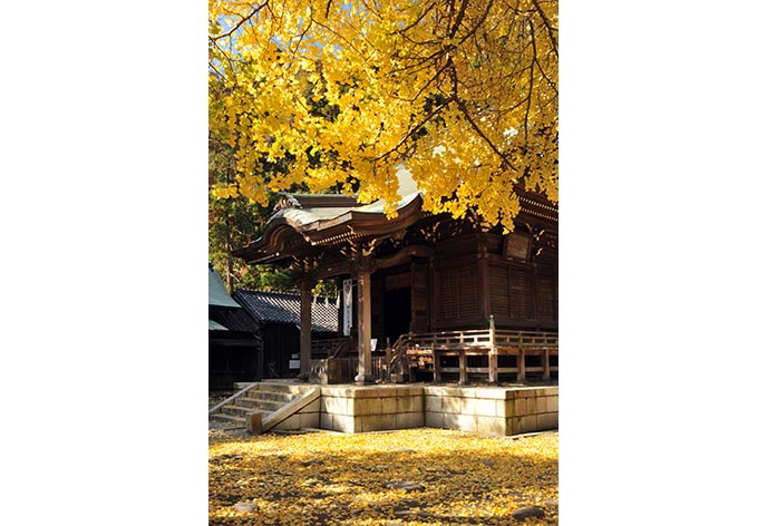 御霊神社(ごりょうじんじゃ)